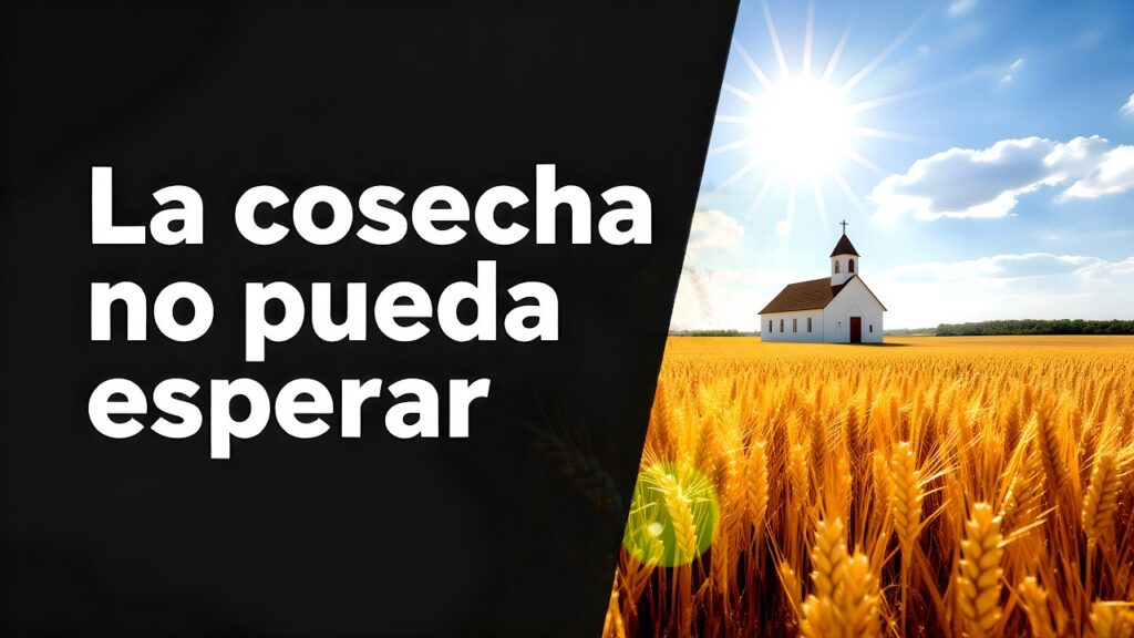 La cosecha no puede esperar.
